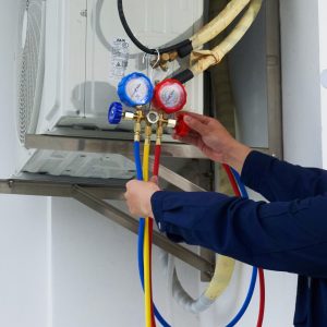 018e69ab 688a 4c10 961f 824fe9b44856.jpg