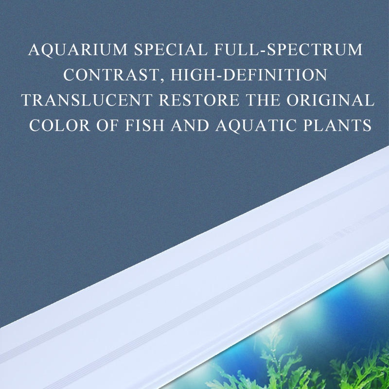 0c5397ef f5c6 4f3a badd a962b4fc26b2.jpg 0c5397ef f5c6 4f3a badd a962b4fc26b2.jpg