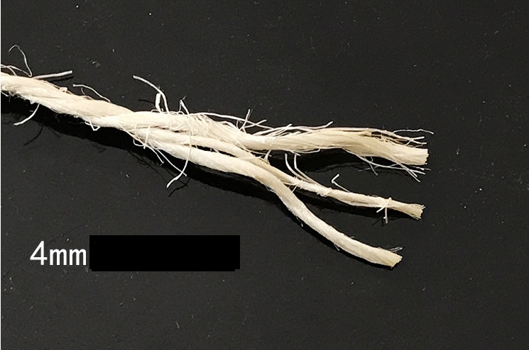 1300855722686.jpg 1300855722686.jpg