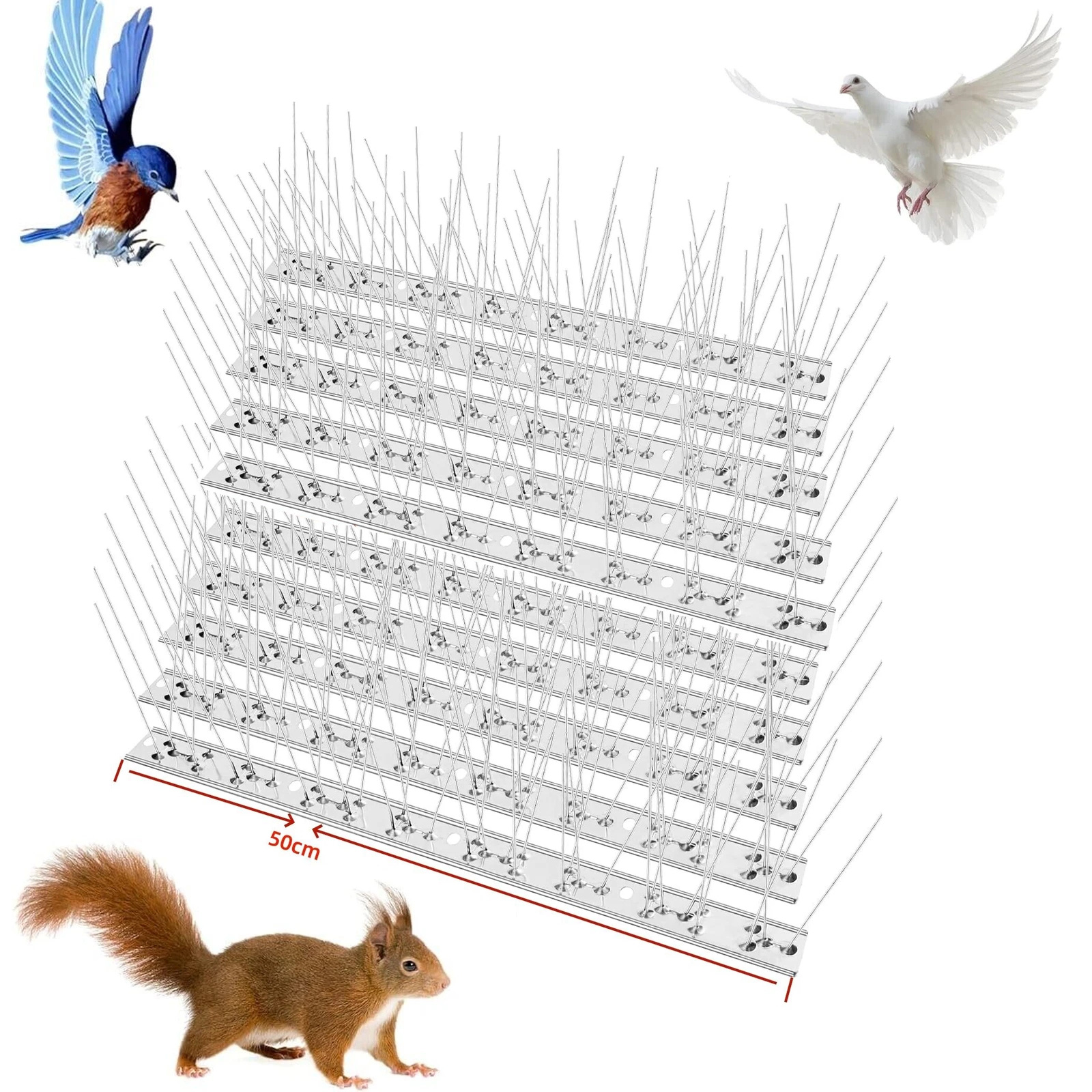 1931180346494423040.jpg 1931180346494423040.jpg