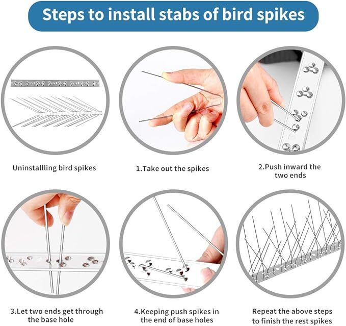 1931180349279440896.jpg 1931180349279440896.jpg