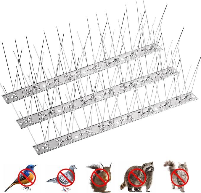 1931180352517443584.jpg 1931180352517443584.jpg