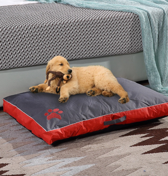 42100911048476.jpg 42100911048476.jpg