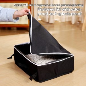 5a9b6604 96e6 48b8 9ce8 3f15f8d9c3a6 trans.jpeg