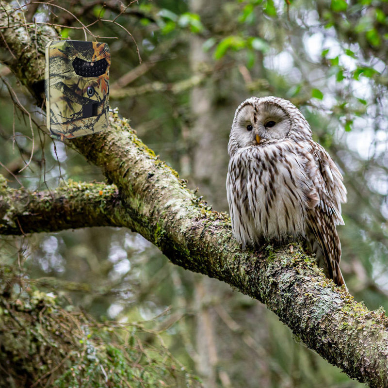 5ac50637 fa89 403d b7f8 79a18a3aa9ac.jpg 5ac50637 fa89 403d b7f8 79a18a3aa9ac.jpg