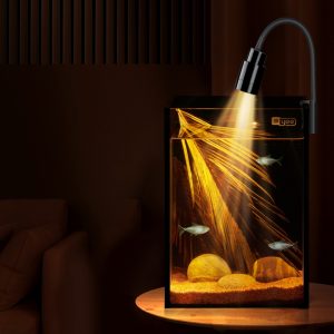 85ddba3c 823b 43cb 91bd ea952a76422b.jpg