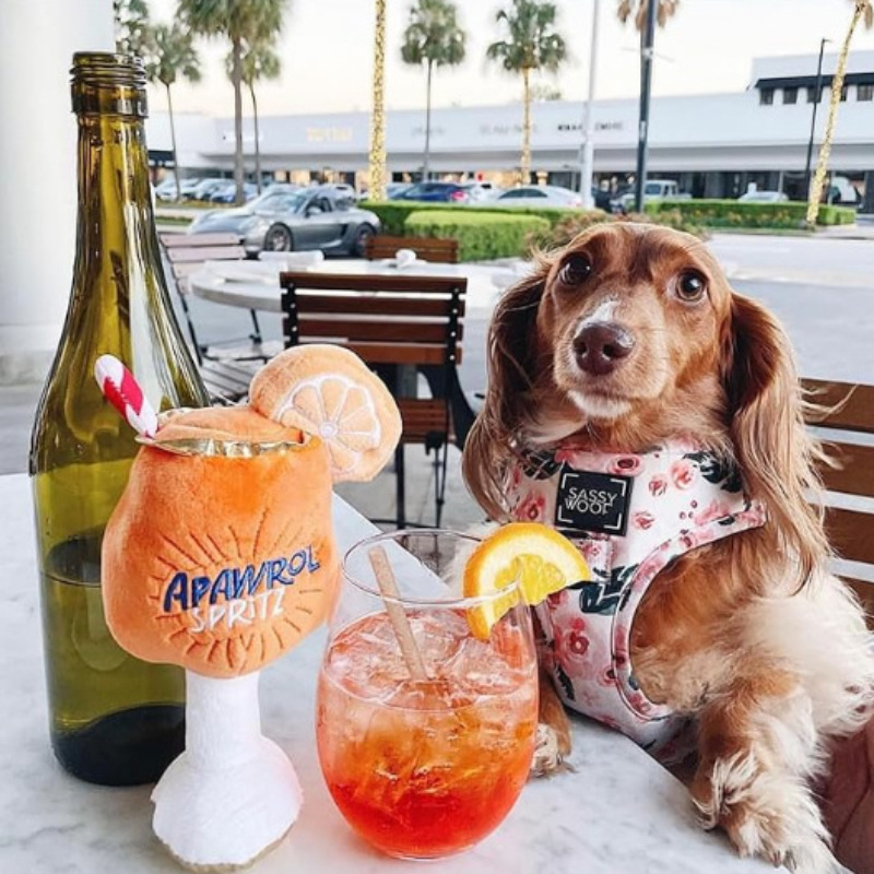 9fa87873 d0fd 4fc0 bae2 b79944852ea4.jpg 9fa87873 d0fd 4fc0 bae2 b79944852ea4.jpg