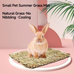 a3ae139f bc5b 4374 80b3 7b0fd7897a51.jpg