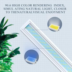 a7215dce 788f 49a0 89ab 896faba3bfda.jpg