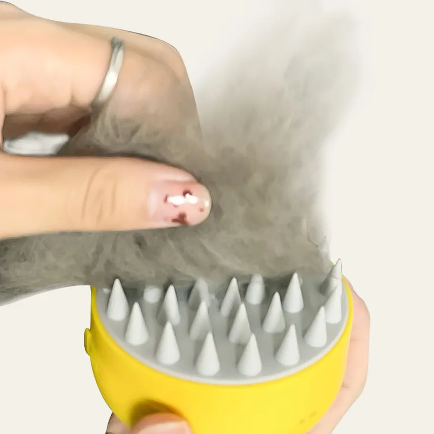 c2e3dd0f e39b 44b9 802d 2fee01628569.jpg c2e3dd0f e39b 44b9 802d 2fee01628569.jpg