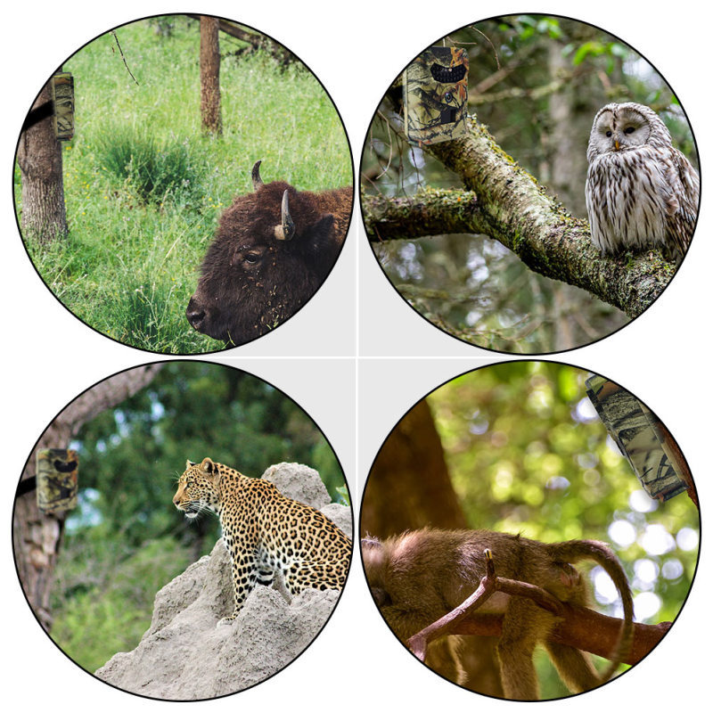 c388a592 374f 455a 83dd e07a8218d21e.jpg c388a592 374f 455a 83dd e07a8218d21e.jpg