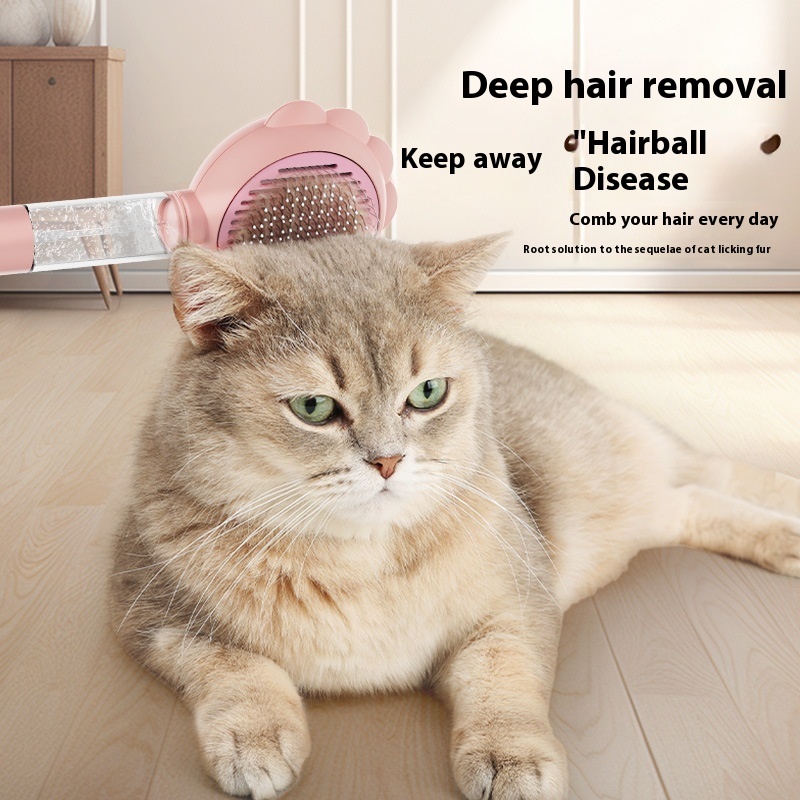 f845d1c5 4403 4608 b0f8 cd4b7bf7e5fc trans.jpeg f845d1c5 4403 4608 b0f8 cd4b7bf7e5fc trans.jpeg