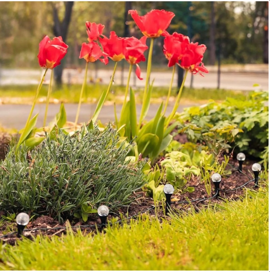 fc9ad395 7f66 4430 ac63 7e0fe7e50b34.jpg fc9ad395 7f66 4430 ac63 7e0fe7e50b34.jpg