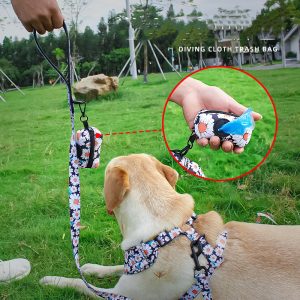 fe17c995 c2d8 4e7b 9dc0 5420eb058728.jpg